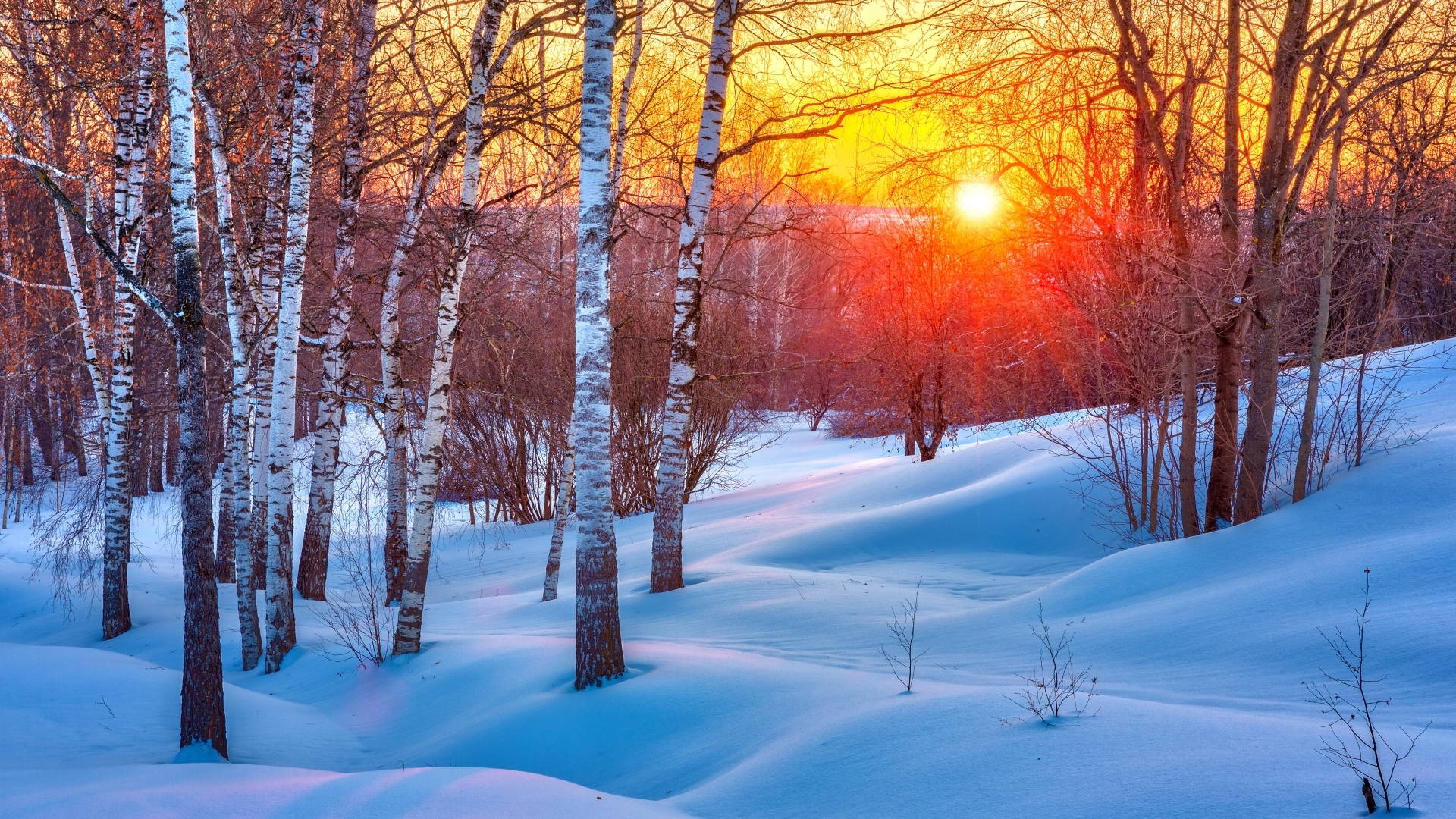 winter blues