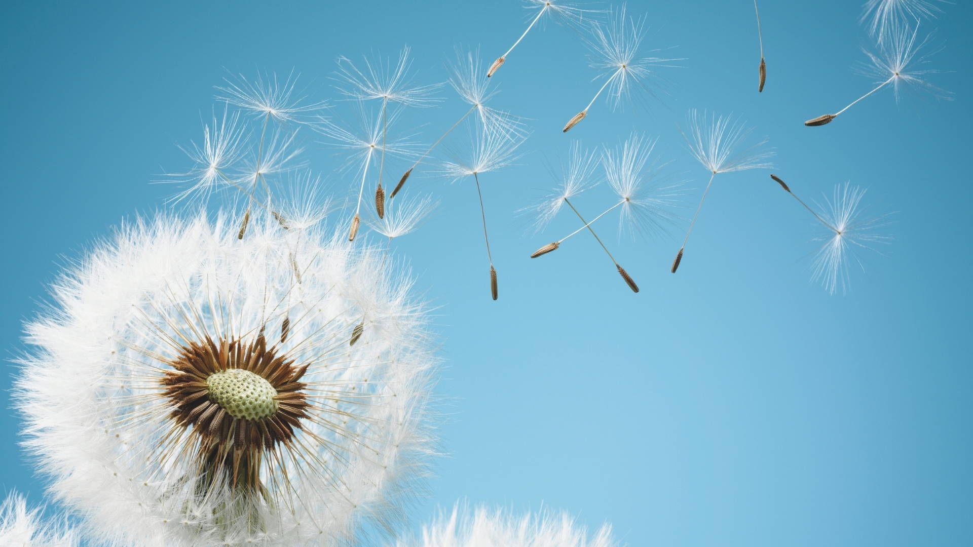 Blog Headers