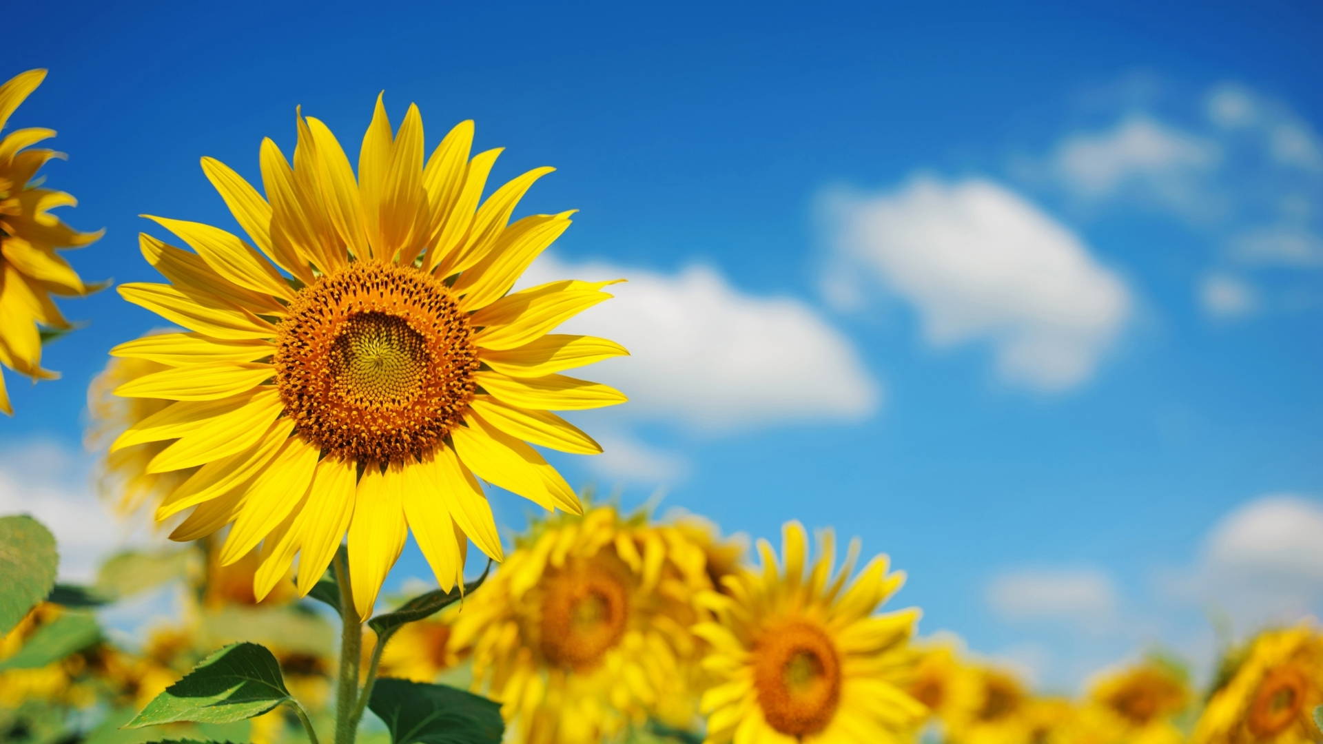 Blog Headers